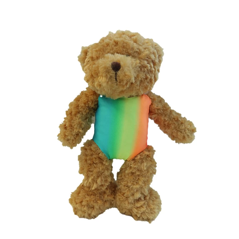 Rainbow Teddy