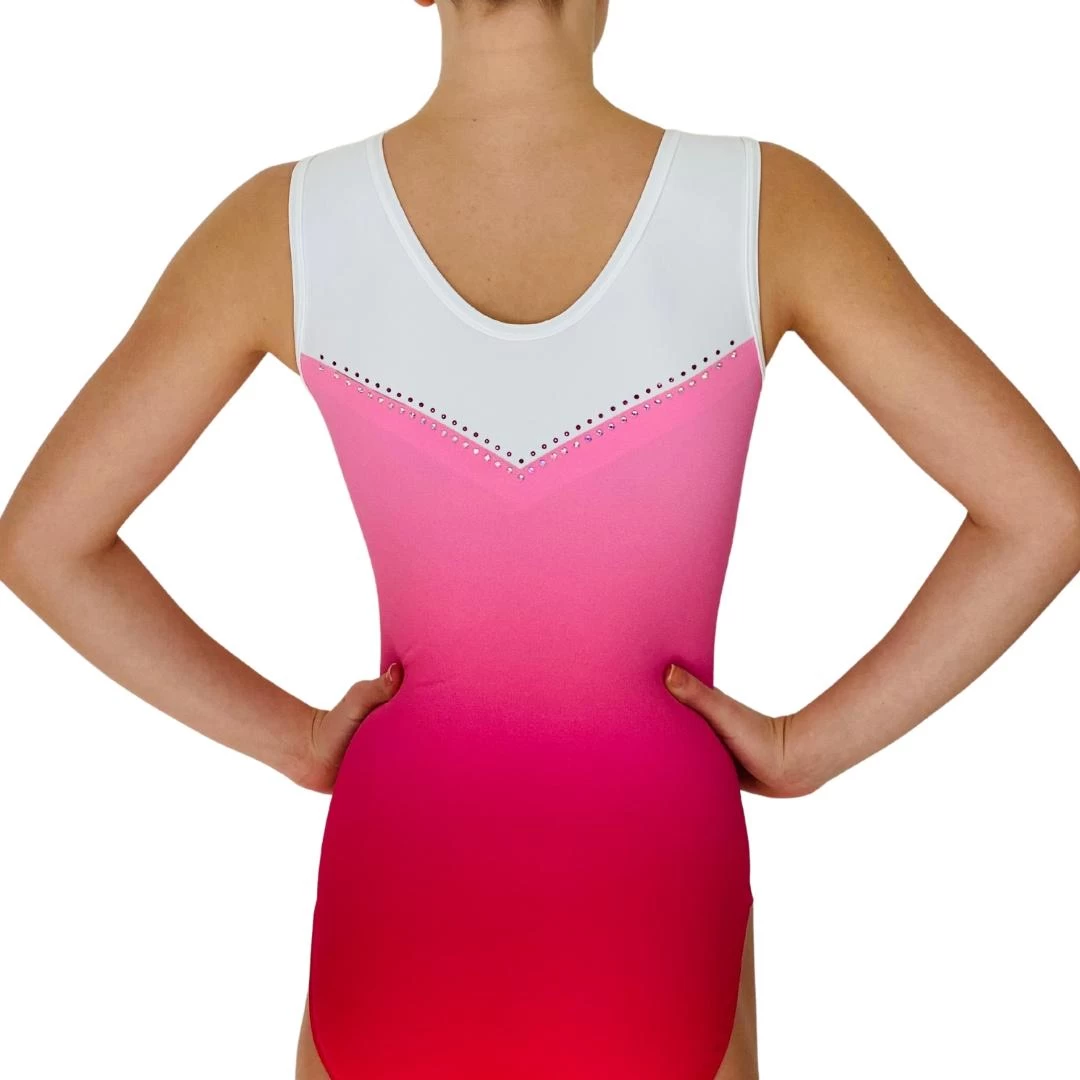 HALLIE – Z684:- Sleeveless Pink Ombre Leotard - Image 4