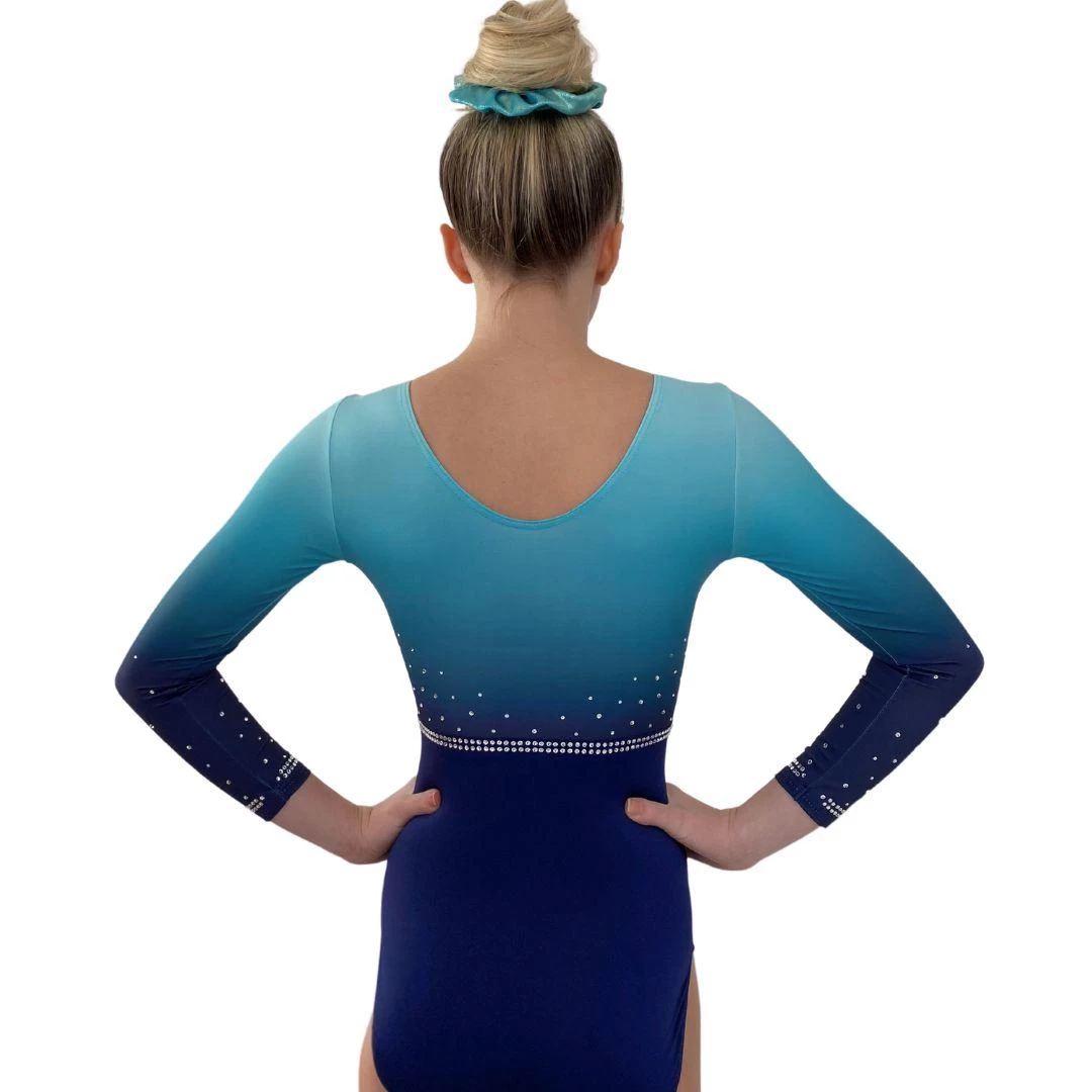 DARCIE- K664:- Sleeved Ombre Leotard - Image 3