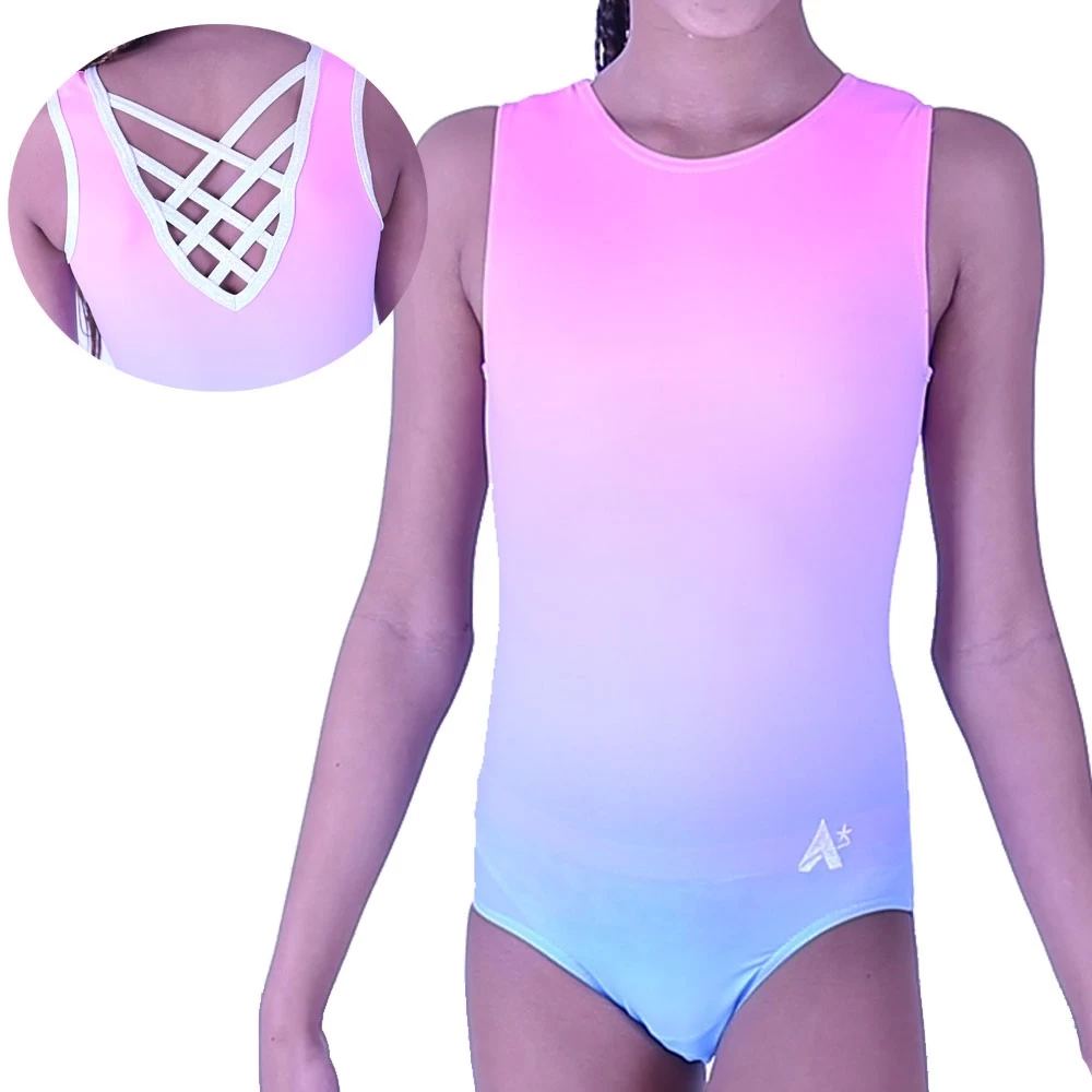 SOPHIA – Z594:- Pink To Blue Ombre Leotard With Fancy Back
